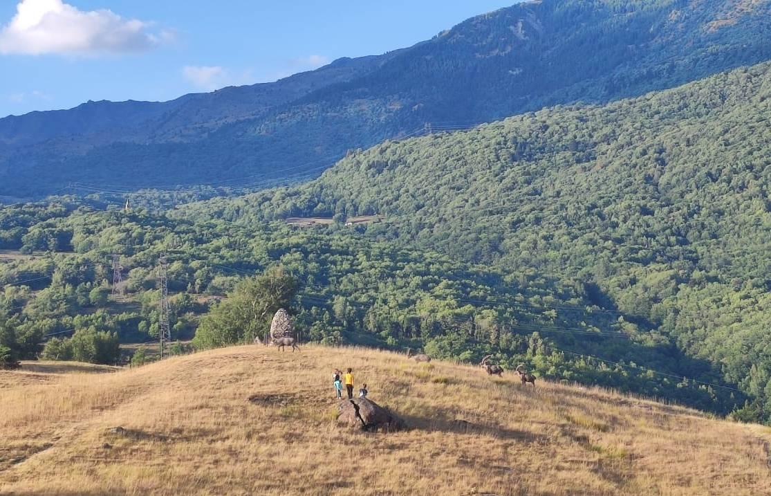 L apero du bouquetin